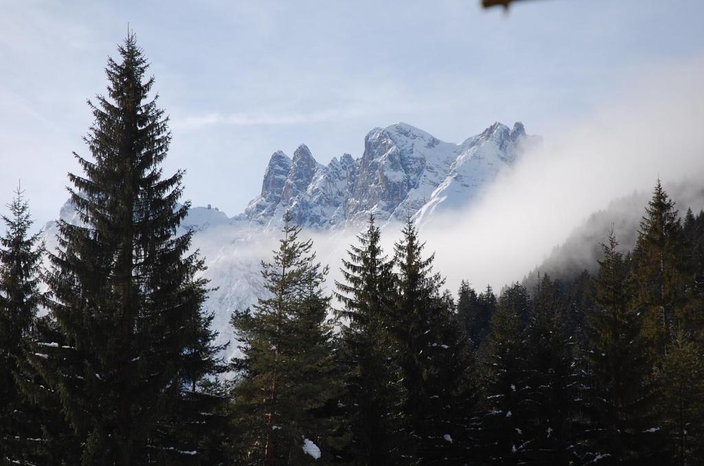 Albergo Ristorante Cacciatori Auronzo di Cadore Εξωτερικό φωτογραφία
